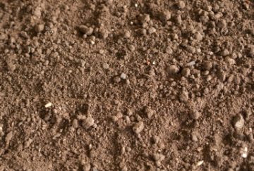 Cartmore's Topsoil Bark